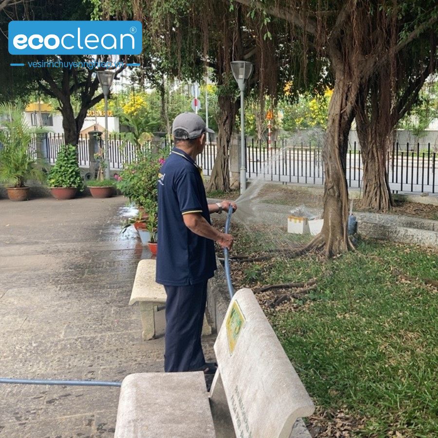 Bí quyết chăm sóc cây xanh luôn tươi tốt quanh năm - Hướng dẫn toàn diện từ A đến Z